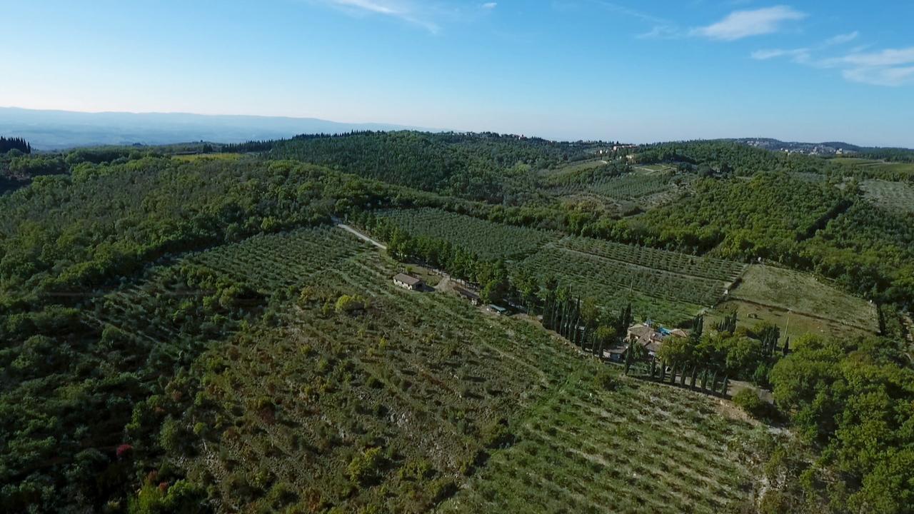 Podere Sagna Apartment Castellina in Chianti Exterior photo