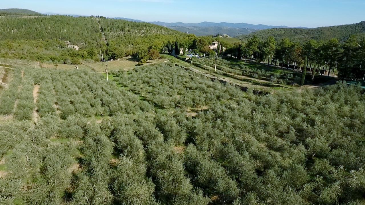 Podere Sagna Apartment Castellina in Chianti Exterior photo